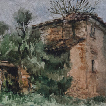 C.01.003	'Nobles ruinas'.	Salazar(Burgos)	4-2006	18x26	